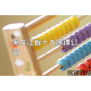 黑龙江省十大保镖公司