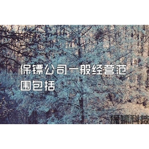 保镖公司一般经营范围包括