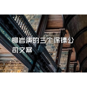 柳岩演的三个保镖公司文案