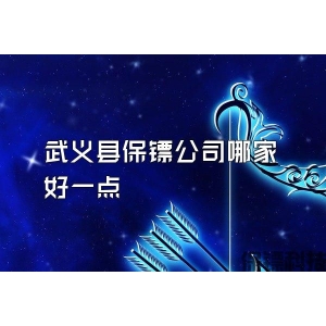 武义县保镖公司哪家好一点
