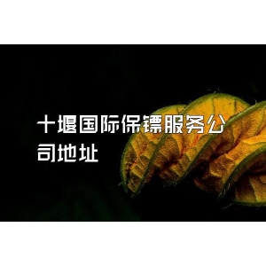 十堰国际保镖服务公司地址