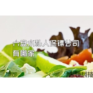 六盘水私人保镖公司有哪家
