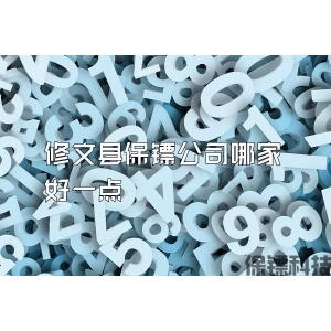 修文县保镖公司哪家好一点