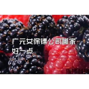 广元女保镖公司哪家好一点