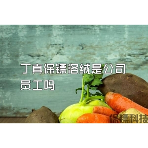 丁真保镖洛绒是公司员工吗