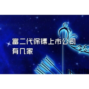 富二代保镖上市公司有几家
