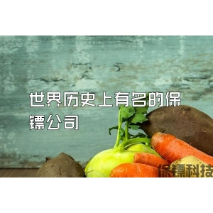 世界历史上有名的保镖公司