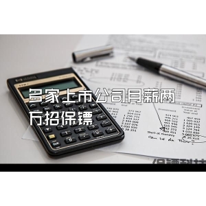 多家上市公司月薪两万招保镖