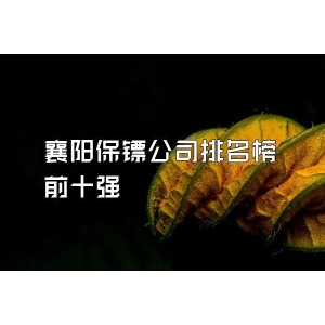 襄阳保镖公司排名榜前十强