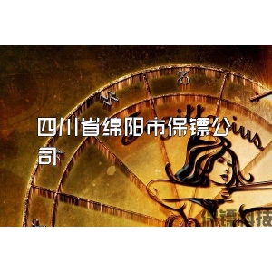 四川省绵阳市保镖公司