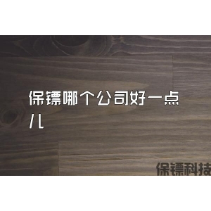 保镖哪个公司好一点儿