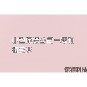 小型保镖公司一年利润多少