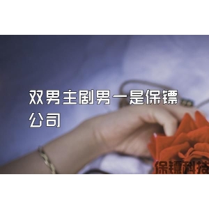双男主剧男一是保镖公司