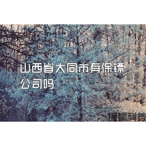 山西省大同市有保镖公司吗