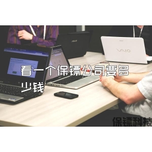 看一个保镖公司要多少钱