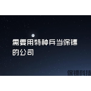 需要用特种兵当保镖的公司