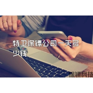 特卫保镖公司一天多少钱