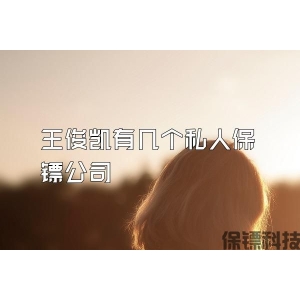 王俊凯有几个私人保镖公司