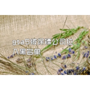 gta5被保镖公司拉入黑名单