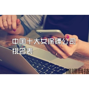 中国十大女保镖公司排名表