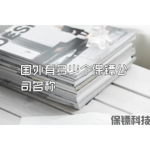 国外有多少个保镖公司名称