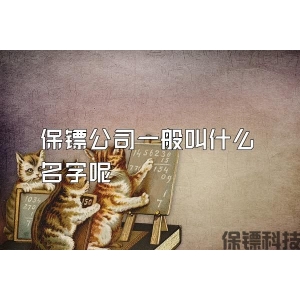 保镖公司一般叫什么名字呢