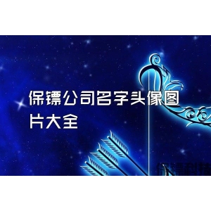 保镖公司名字头像图片大全