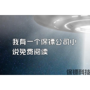我有一个保镖公司小说免费阅读