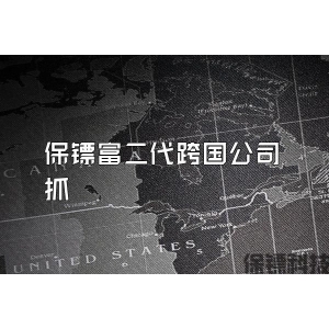 保镖富二代跨国公司抓