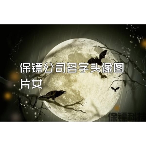保镖公司名字头像图片女