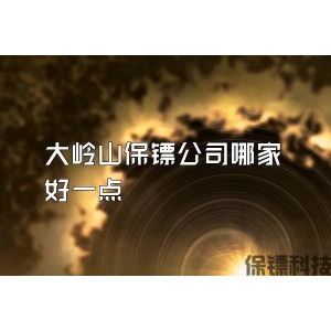 大岭山保镖公司哪家好一点