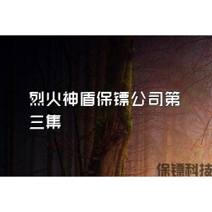 烈火神盾保镖公司第三集