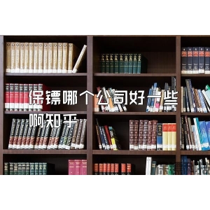 保镖哪个公司好一些啊知乎