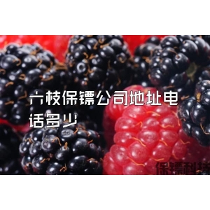 六枝保镖公司地址电话多少