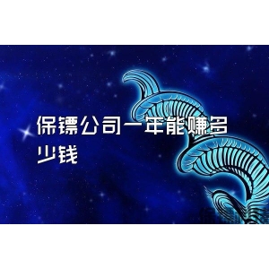 保镖公司一年能赚多少钱